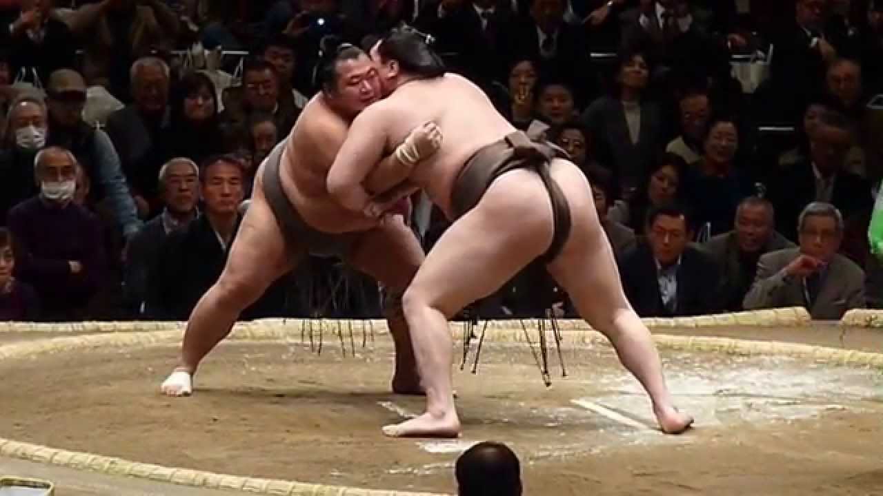 Sumo wrestling codes. Батраз Борадзов сумо.