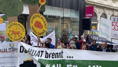 Demo in Linz, 11.9.2026